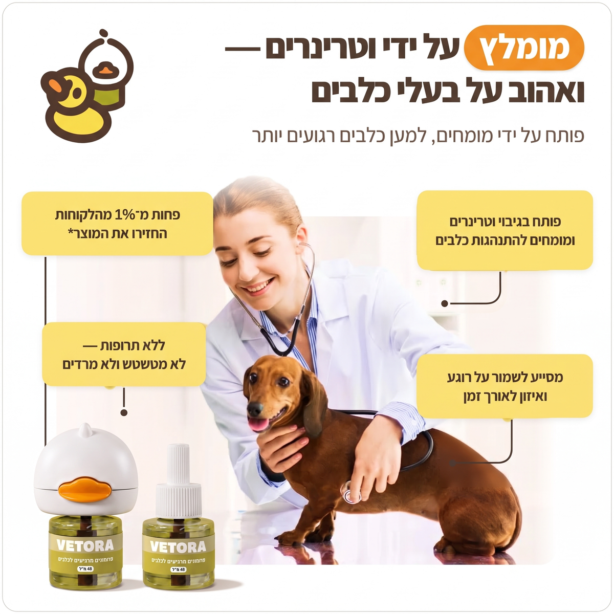כלב רגוע שוכב ליד מפיץ הפרומונים VETORA בסלון