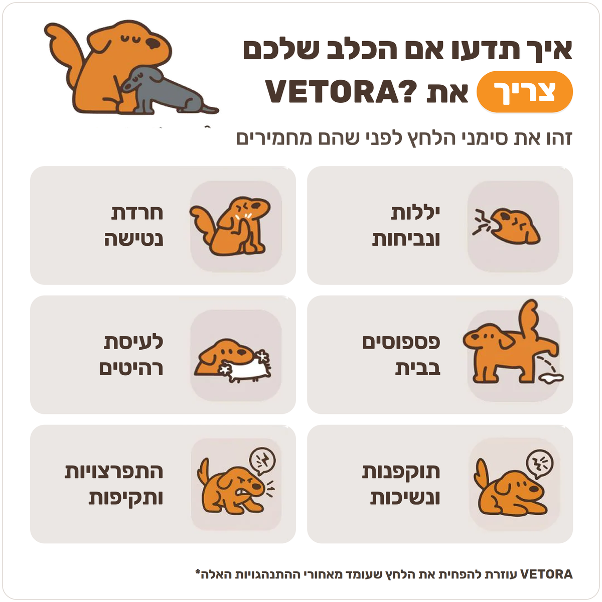 הסבר בעברית על אופן הפעולה של מפיץ הפרומונים
