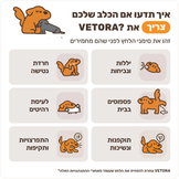 הסבר בעברית על אופן הפעולה של מפיץ הפרומונים