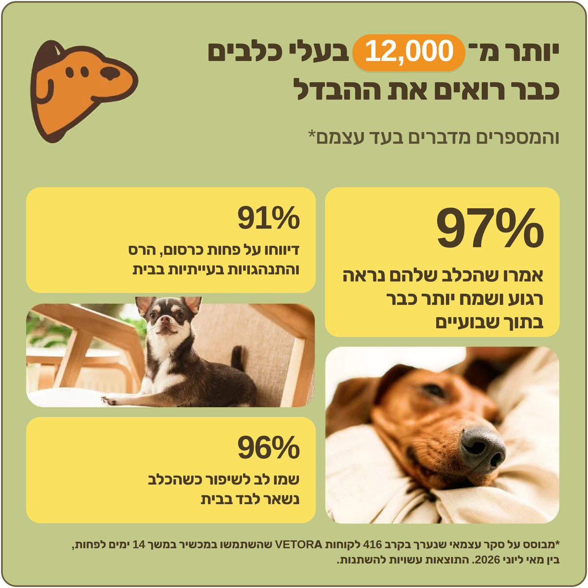 נתוני מחקר על יעילות פרומונים להרגעת כלבים